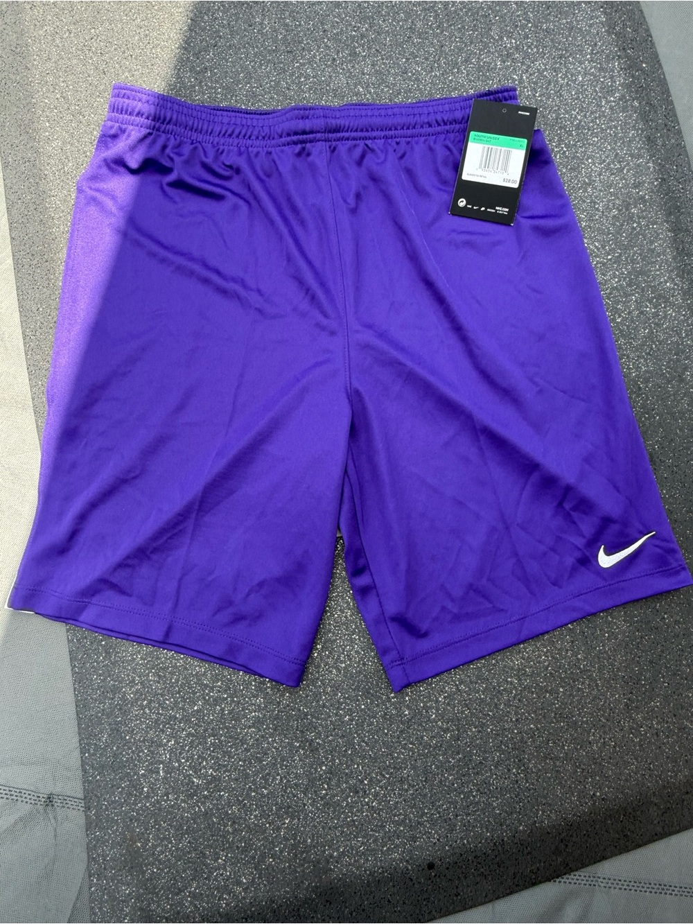 Nike Youth Purple Athletic Shorts